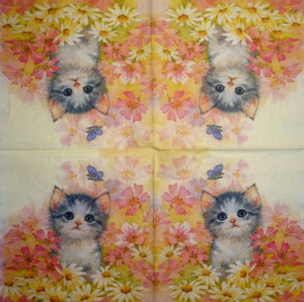 KAT-366 Cats - 3-ply - Ihr